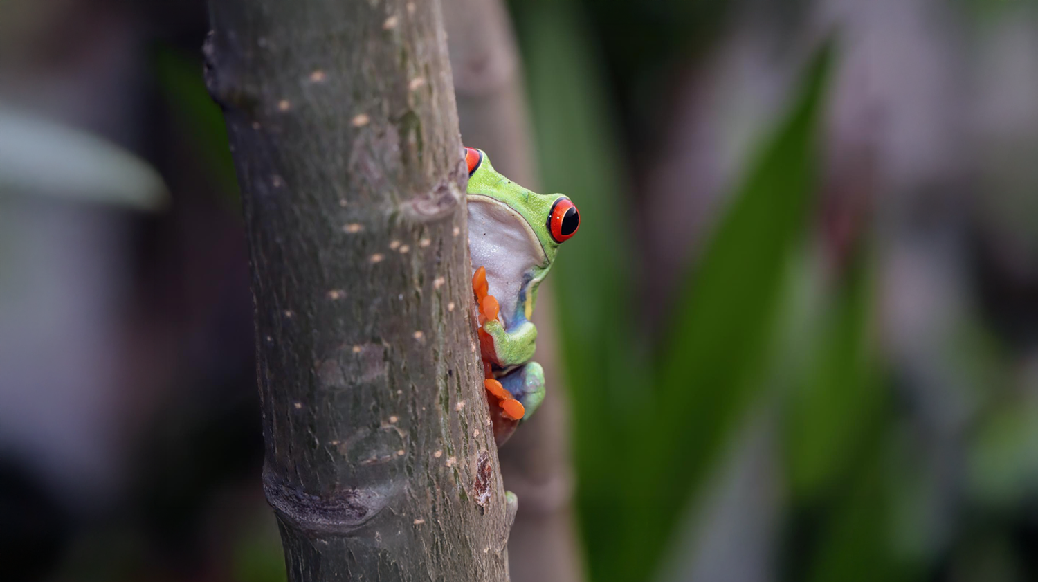 Minería Legal y Cuidado Ambiental: El Ambiente También Gana